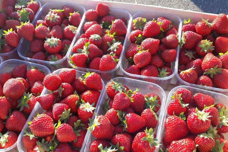 UN ACCUEIL, COMME IL SE DOIT, A PLOUGASTEL !